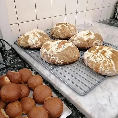 Zappa Brusino Arsizio